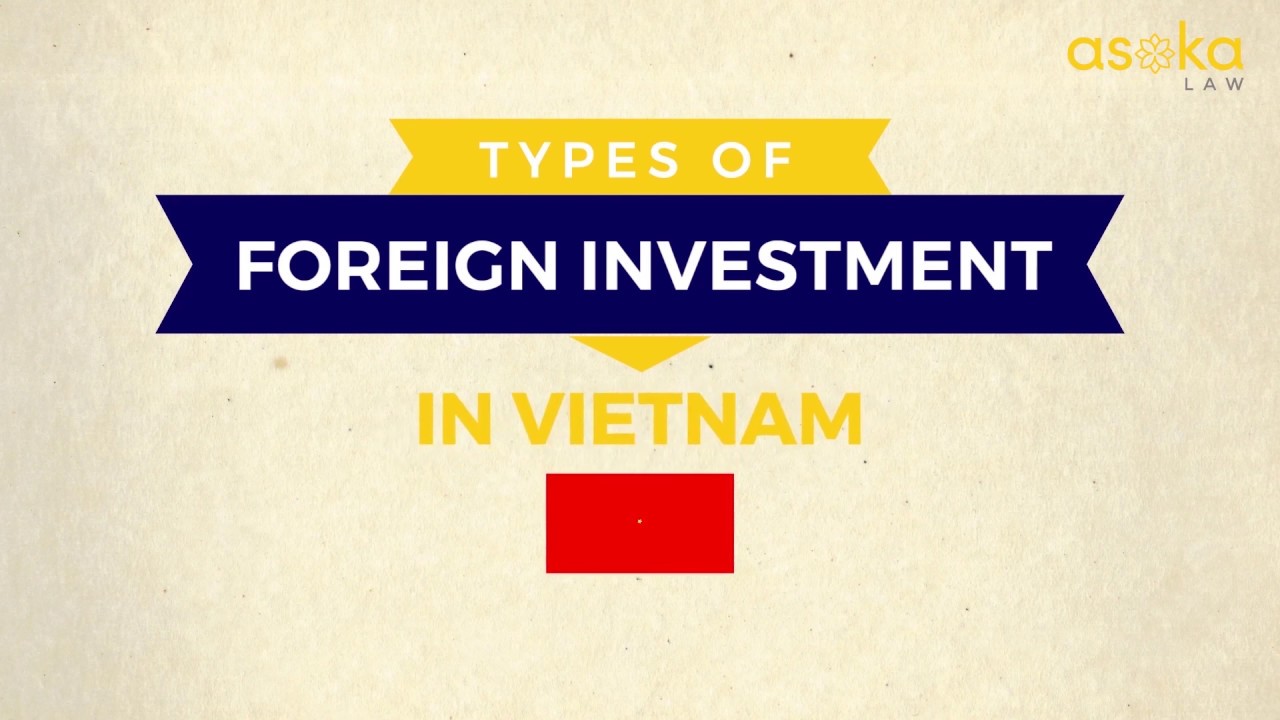Types of foreign investment in Vietnam