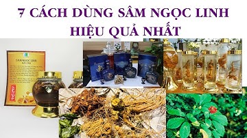 7 CÁCH DÙNG SÂM NGỌC LINH HIỆU QUẢ NHẤT