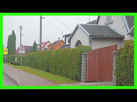Живая изгородь: выбираем растения