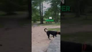 Let God Break Your Heart