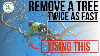 REMOVE A TREE TWICE AS FAST USING THIS  SHANE'S TREES