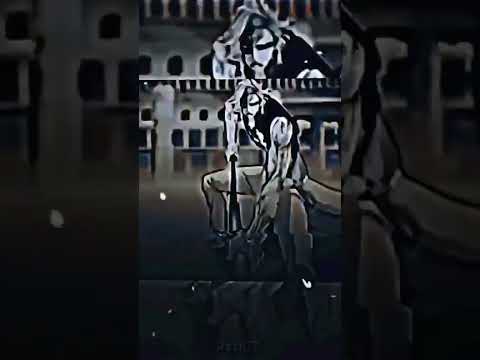 Youngster Yin vs Youngzo Yang