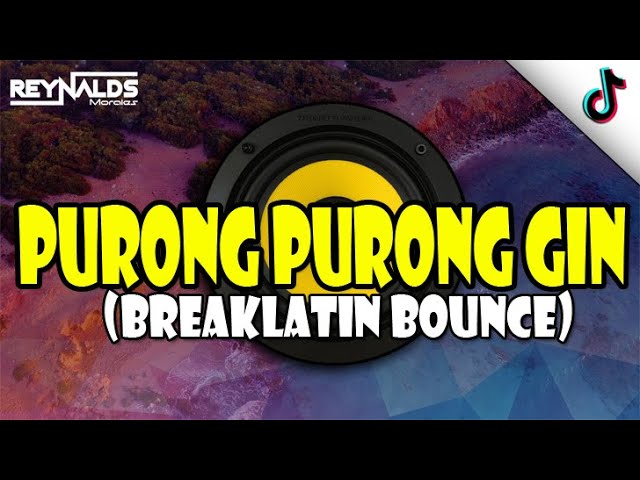 Break Latin Remix - Purong Purong Gin (Dj Reynalds Morales Remix)