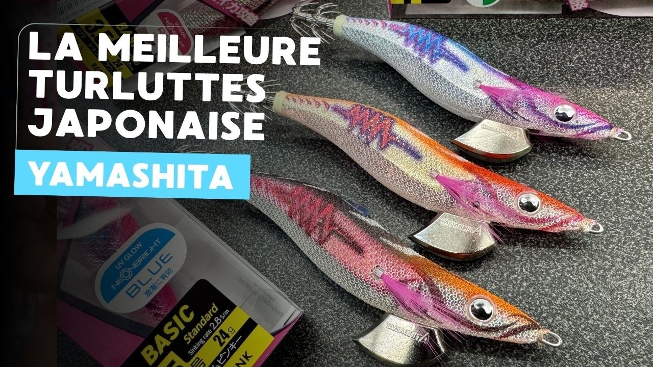 Turlutte Yamashita Egi Naory Rh Basic 2.2# | Pacific Pêche