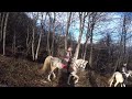 Экстремальный Конный поход в Горы Чечни.