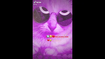 اغنية الكوت 