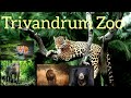 Trivandrum zoo | Thiruvananthapuram Zoo | One of the oldest zoo in India | തിരുവനന്തപുരം മൃഗശാല