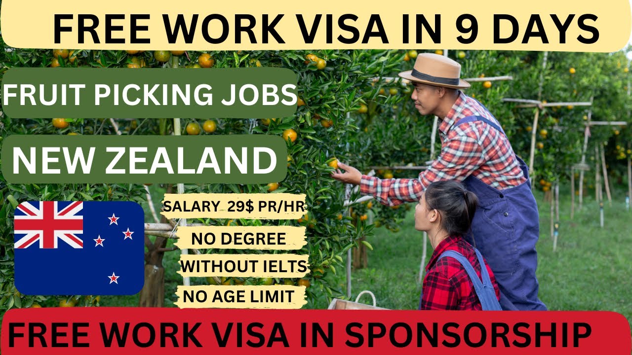 Fruit Picking Jobs in New Zealand With Visa Sponsorship in 202324