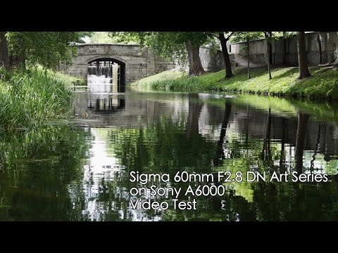 Sigma Art 60mm F2.8 DN Video Test on Sony A6000 Sample - YouTube