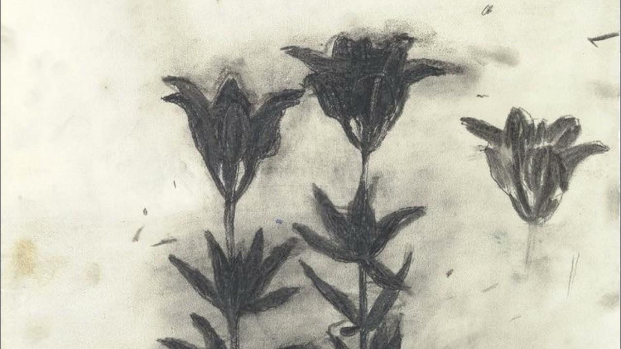 finish line delaney bailey (slowed & reverb) YouTube