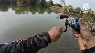 shimano majestic shimano curado DC ทดสอบใหม่ทั้งเซตจะได้ปลาหรือเปล่า