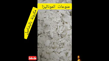 Shortsمكرونة بالبشاميل مكرونة بالبشاميل بشاميل 