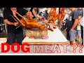 Dog Meat Selling In China Dog Meat Market In China Part 2 
