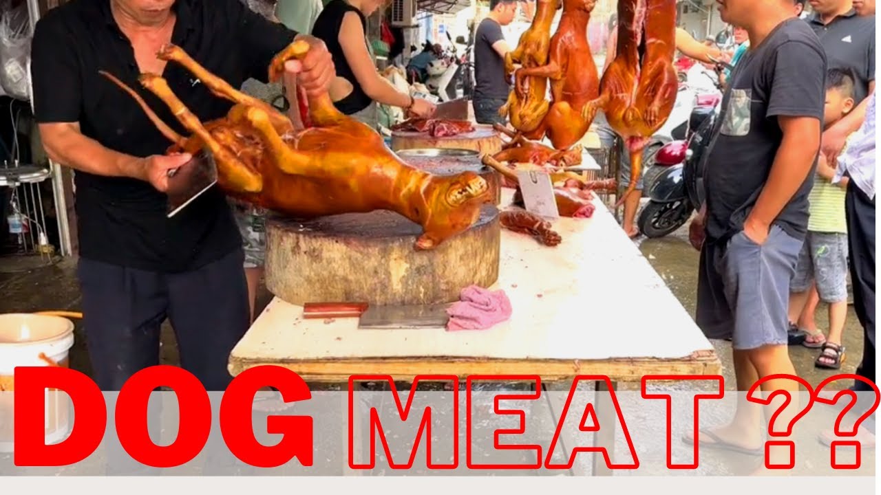 Dog Meat Selling In China Dog meat market in China part 2 YouTube