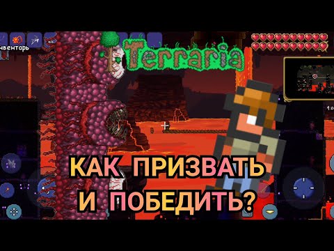СТЕНА ПЛОТИ - КАК ПРИЗВАТЬ И ПОБЕДИТЬ?! Террария Гайды