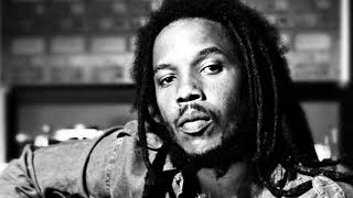 Stephen Marley - Hey Baby (feat. Mos Def) Resimi