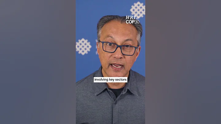 4 Priorities to Deliver Real Action at #cop30