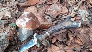 картинка: Пройшовся  в гори по гриби ,Марамороси ,Рахівські гори..