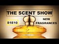 LATEST ADDITIONS TO MY FRAGRANCE COLLECTION | THE SCENT SHOW - S1E10