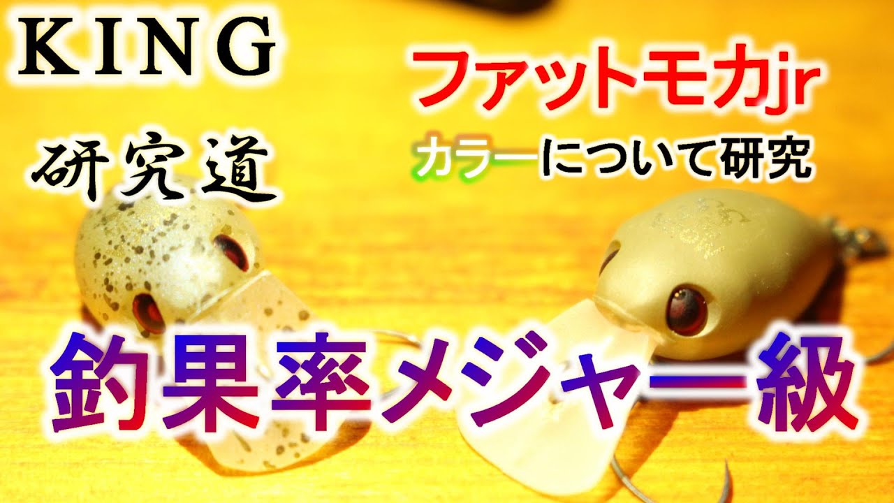 KING研究道』1、ファットモカjr.DR-SSカラーにおける研究 - YouTube