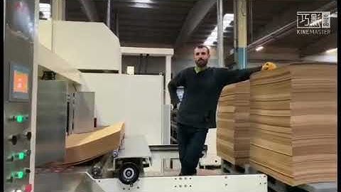 Vibrator & Stacker for Scraps Remover, Counting Stacker, carton box making machine