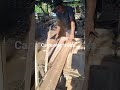 cara menyamakan ukuran ram pintu menggunakan sircular saw #carpentertrick #bengkelkayu #woodscraft