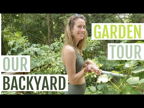 Vegetable Garden TOUR! Our Backyard Container Garden In New York | Lucie Fink