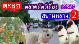 ตะลุยตลาดสัตว์เลี้ยงสนามหลวง2 ไม่เงียบอย่างที่คิด