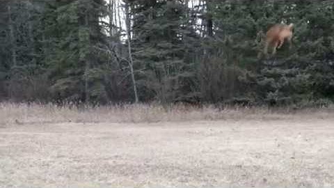 What you are seeing is advanced warfare