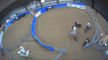 Big Sky Ranch Sorting Saddle Series #4 - OPEN - Round #2 - Ride #18