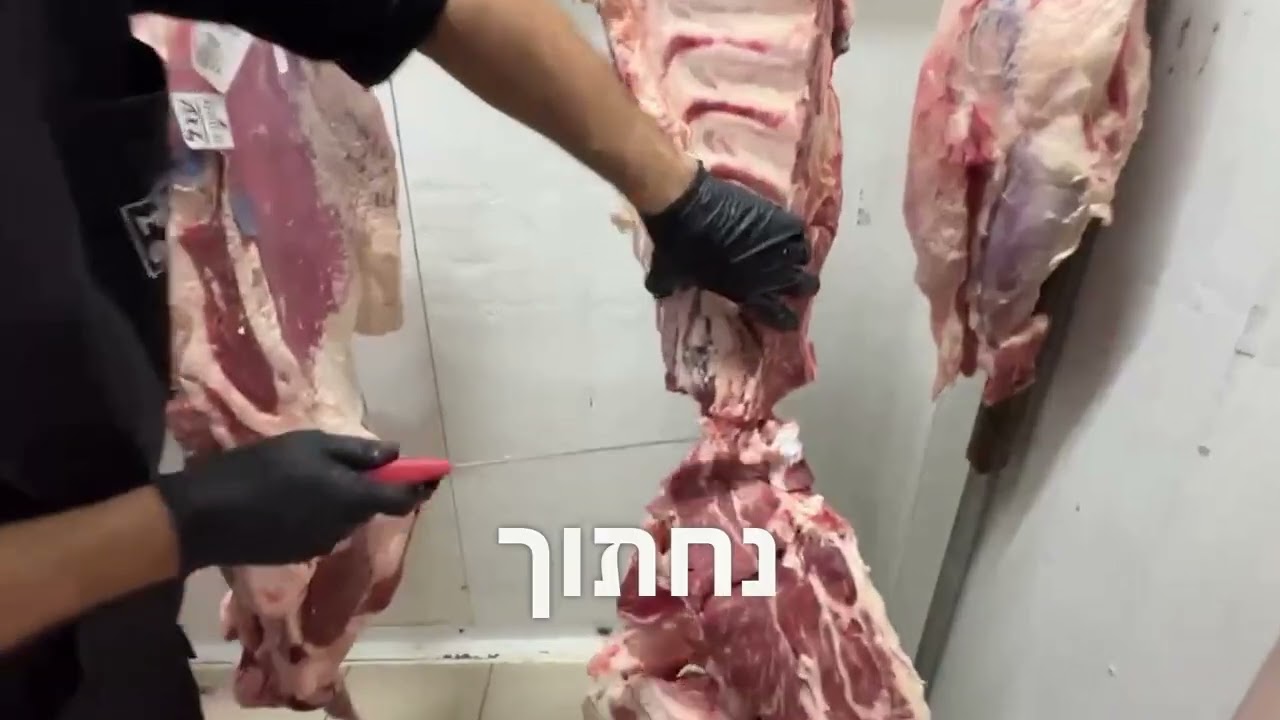 קיצוב רבע קדמי - צוואר,צלעות ואנטריקוט