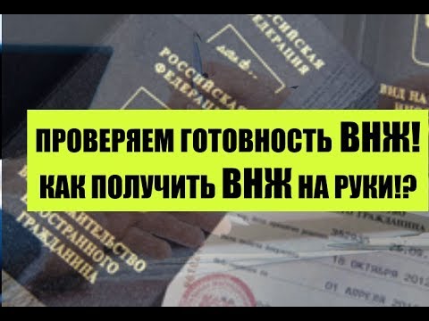 Как получить документ ВНЖ. Проверить готовность вида на жительство ФМС. Миграционный юрист. Адвокат