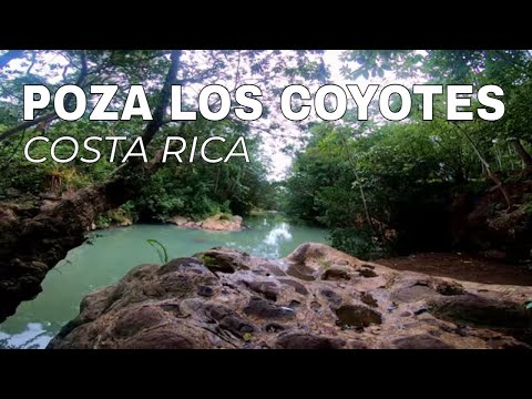 วีดีโอ: หุบเขา Quetzals ในคอสตาริกา