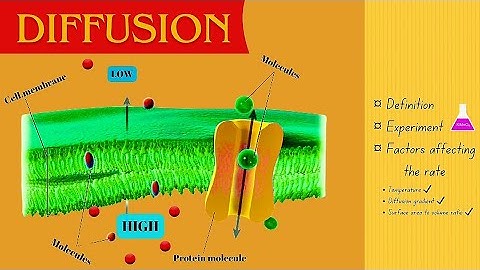 Introduction to Diffusion + Factors Affecting Diffusion I Cell Physiology Form 1 & Grade 8