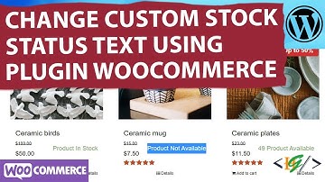How to Add Custom Stock Status Text Globally in WooCommerce Shop & Individually in Product WordPress