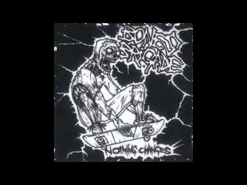 Bones Brigade - Nothing Changes