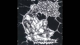 Watch Bones Brigade Nothing Changes video