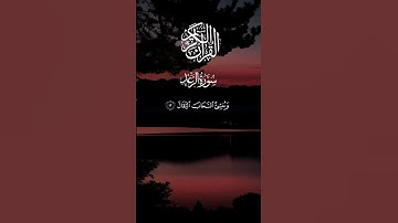ماتيسر من سورة الرعد بصوت احمد النفيس #القرآن
