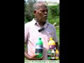 Our Mixed Crop Farmer Mr.Palani from Tiruvannamalai shares His Results!