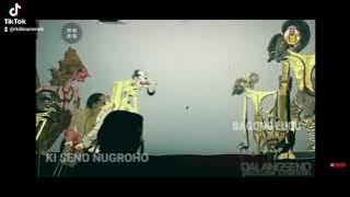 STORY WA || PETRUK SULUK LUCU POLL || Kiseno nugroho