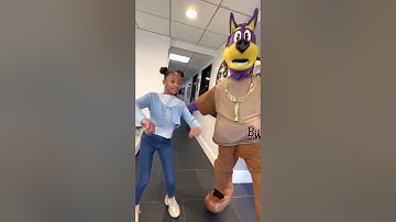 The dog is out of the bag!! #shorts