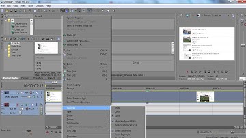 remove sound from video using sony vegas pro