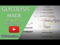 Glycolysis MADE EASY 2020 -  Carbohydrate Metabolism Simplified