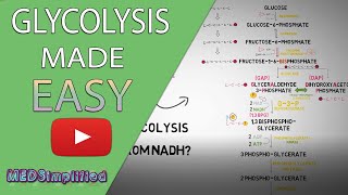 Glycolysis MADE EASY 2020 - Carbohydrate Metabolism Simplified