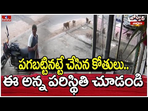 పగబట్టినట్టే చేసిన కోతులు.. ఈ అన్న పరిస్థితి చూడండి | Jordar Varthalu | hmtv