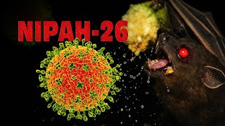 #1053 Virus Nipah: “Kẻ Hủy Diệt” Tiếp Theo Sau COVID-19?
