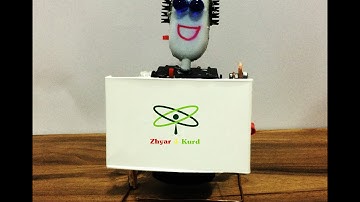 Wireless Remote Controlled Walking Robot