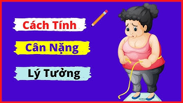 Cách Tính Cân Nặng Lý Tưởng Và Cân Nặng Hợp Lý Đơn Giản Cho Người Trưởng Thành | Dược Sĩ Đinh Hương