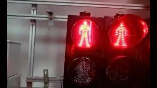 200Mm Red And Green Ball Led Traffic Light