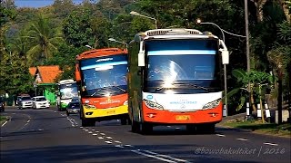 BUS BERGOYANG Melewati Jalan Raya Jogja - Wates